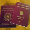 В Вене рассматривают возможность предоставления австрийского гражданства жителям