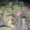 Остров сокровищ в Тирренском море