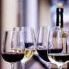 Винный гид Slow Wine 2017: вина, признанные экспертом самым рациональным выбором