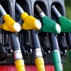 Бензин, 2 500 проверок АЗС в январе: нарушения выявлены в 40 процентах случаев