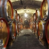 Cantine Aperte 2019: итальянские винодельни ждут гостей!