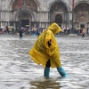 В Венецию вернулась "высокая вода"