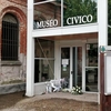 Мантуя: сиделка из Польши, устроившая резню в музее, уже пыталась убить