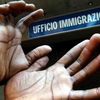 «Вид на жительство» в Италии будут выдавать за баллы