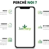 В Милане родилась компания, которая занимается продажей и доставкой марихуаны "л
