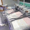 Istat: за последний год в Италии родилось на 15000 меньше детей