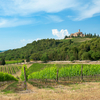Louis Vuitton ведет переговоры о покупке Castello Banfi