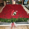 Итальянец в знак примирения с любимой послал ей 1250 красных роз 