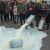 Фермеры Сардинии разливают молоко в знак протеста против низких закупочных цен