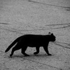 Происхождение и смысл суеверий коренных итальянцев