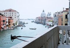 Венеция, прыжок в канал с крыши палаццо; мэр Бруньяро: "Ему стоит присудить титу