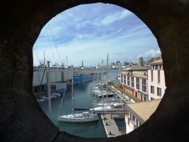 Изображение пользователя lince bianco.