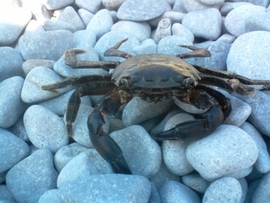 Изображение пользователя Niko2011.