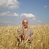 Хлебороб 2