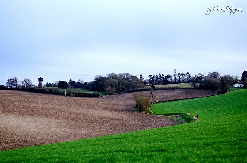 Привет от меня Италии из английской провинции!