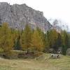 Oсенние пейзажи  Cortina