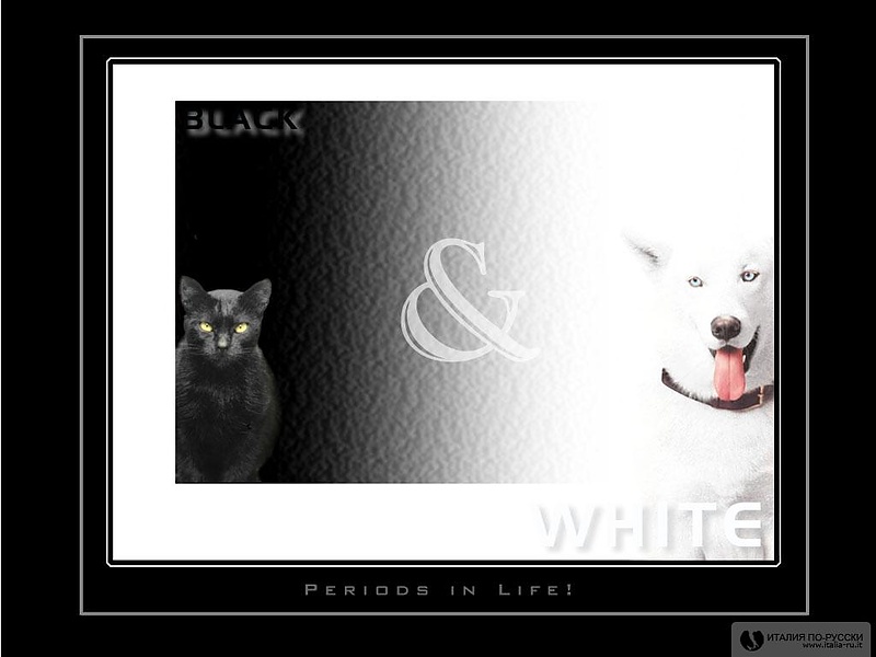 черное и белое