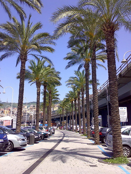 Parcheggio Centro storico di Genova.