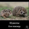 В мире животных всё бывает,как у людей ))))