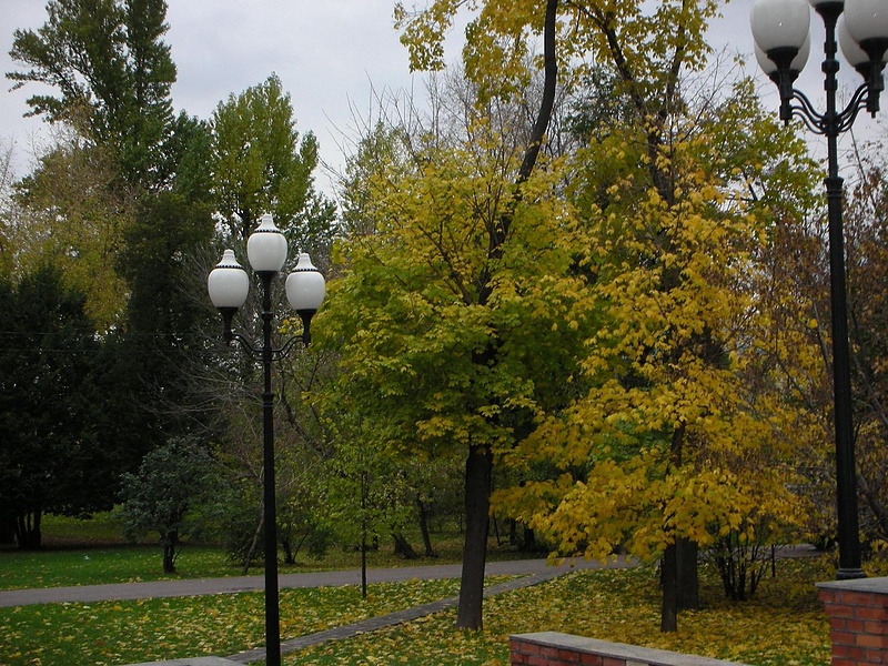 Осень в городе