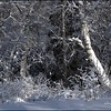 Зимняя картинка