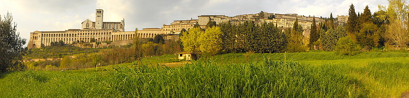 Assisi (вид снизу)