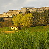 Assisi (вид снизу)