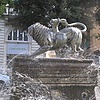 химера