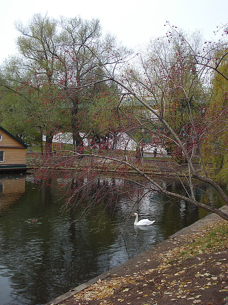 Парк. Осень