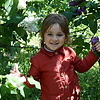 Киев, ботанический сад