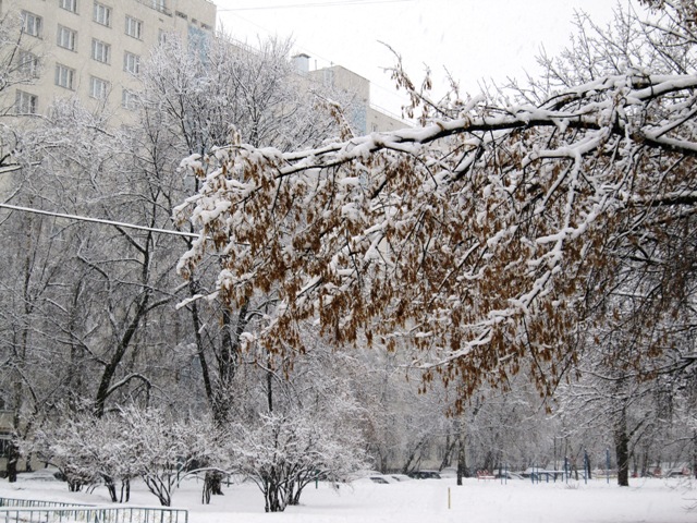 Что увидела я сегодня, выйдя из дома?