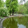 Вена.В городском саду