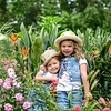 Сладкая  парочка. Мои фотоработы в Риме.