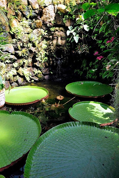 Искья. Ла Мортелла