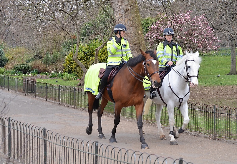 Эх подруга , все дамы как дамы , - а мы и 8 марта на работе .....