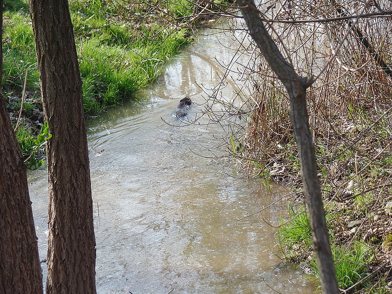 Парк La Mandria в Турине