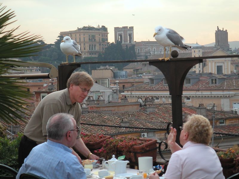 Римские чайки и завтрак-2:-)