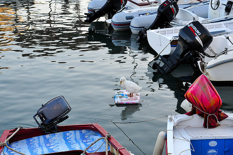 Искья. Волна зовет (серфер)