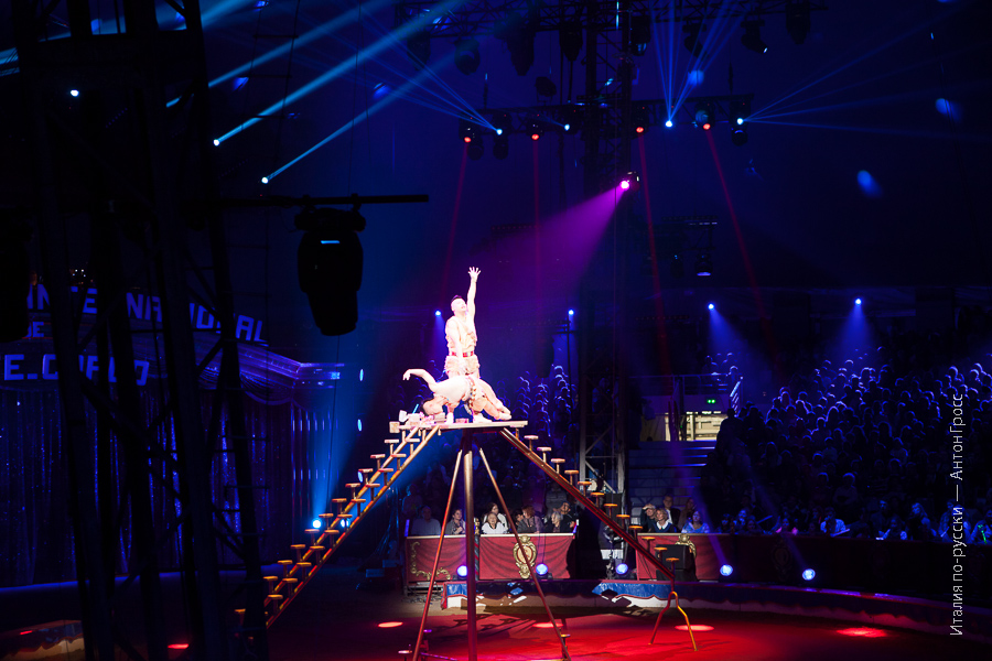 38-ой Международный Фестиваль Циркового искусства в Монте-Карло