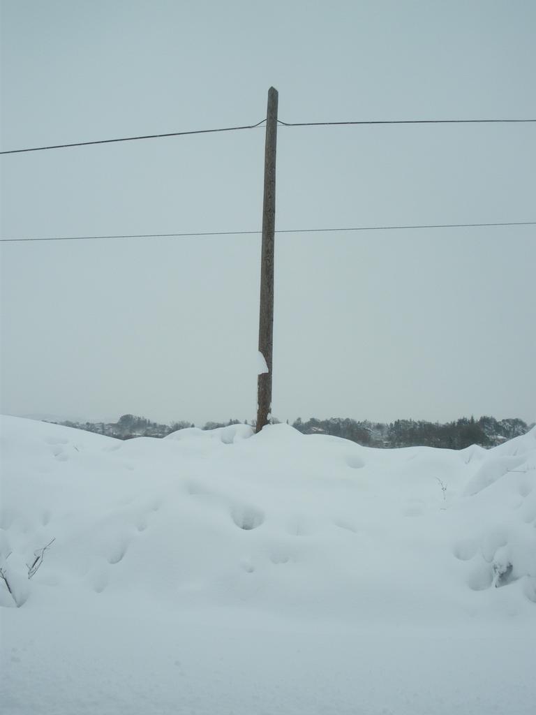 imgp0507.jpg