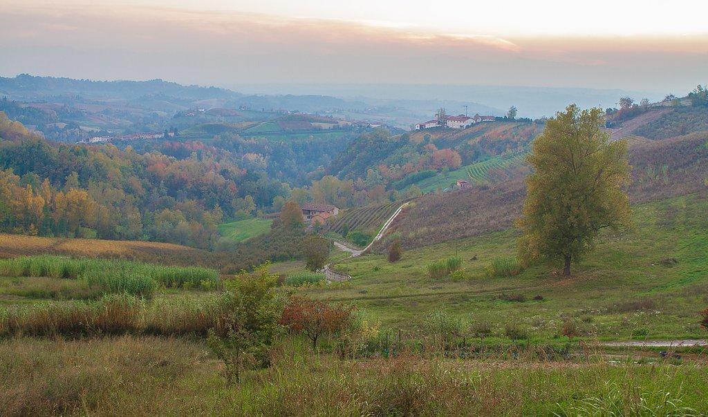 Monforte d'Alba