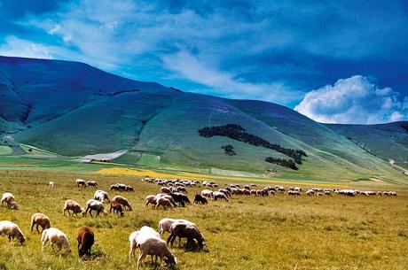 http://italia-ru.com/files/parco_monti_sibillini_0.jpg