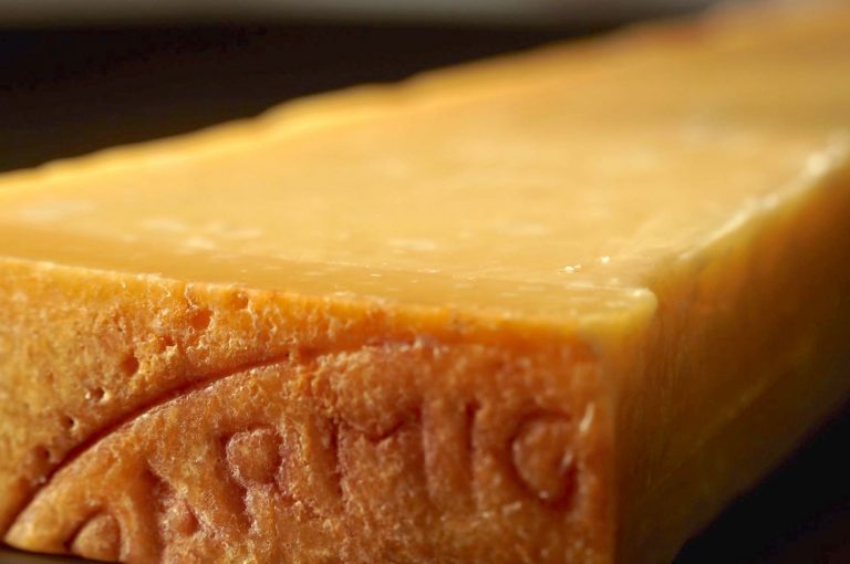 parmigiano