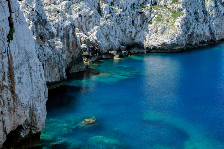 asinara sardegna
