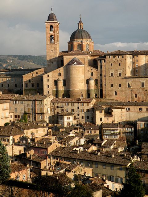 urbino