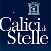 Calici di Stelle 2019 - фестиваль, посвященный итальянскому вину